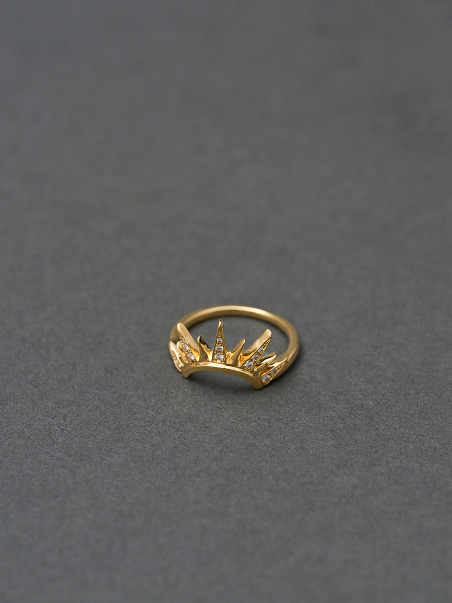 Altair / the Sun Ring