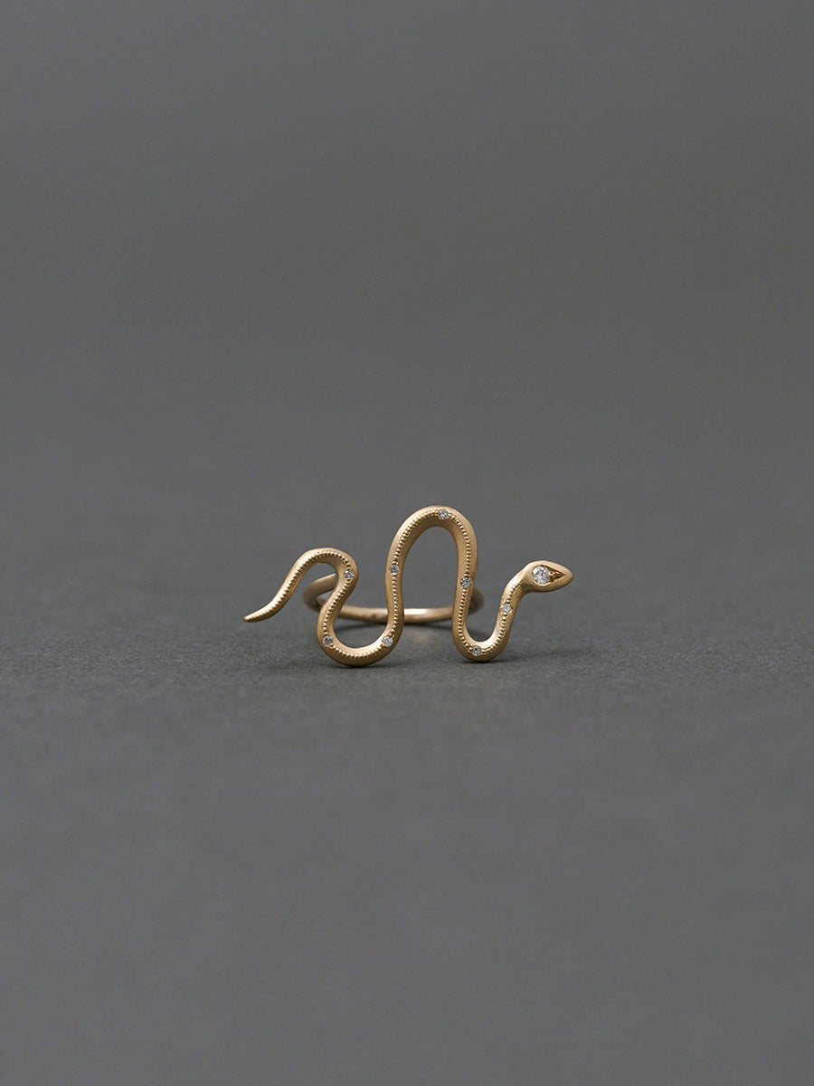 Eden / Snake Bar Ring