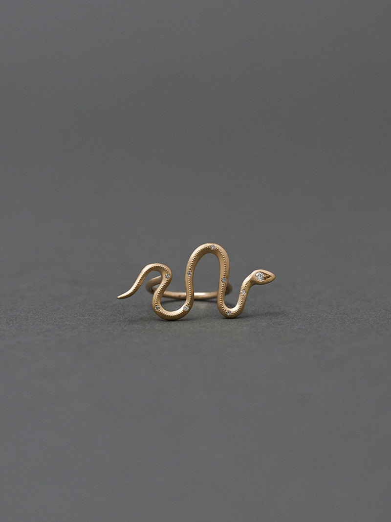 Eden / Snake Bar Ring