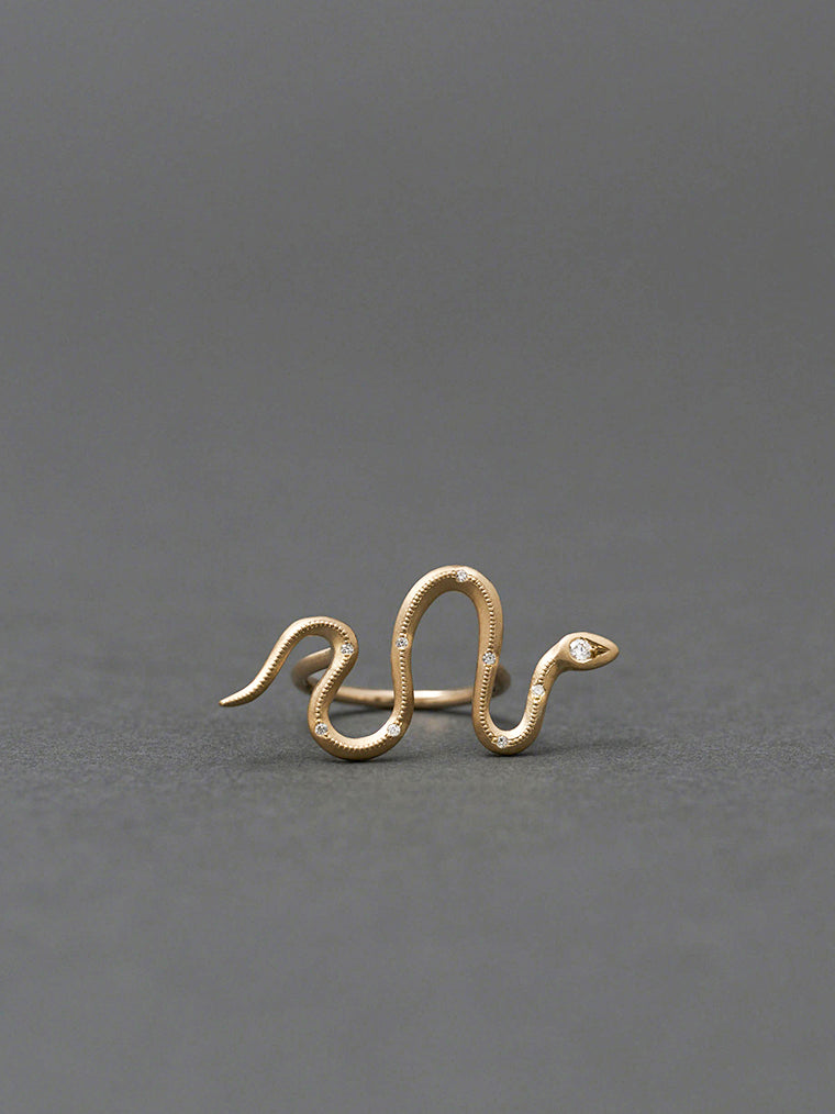 Eden / Snake Bar Ring