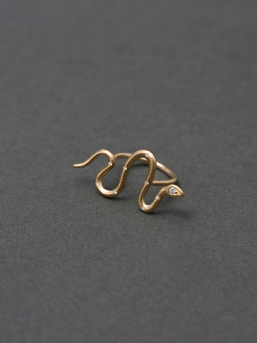 Eden / Snake Bar Ring