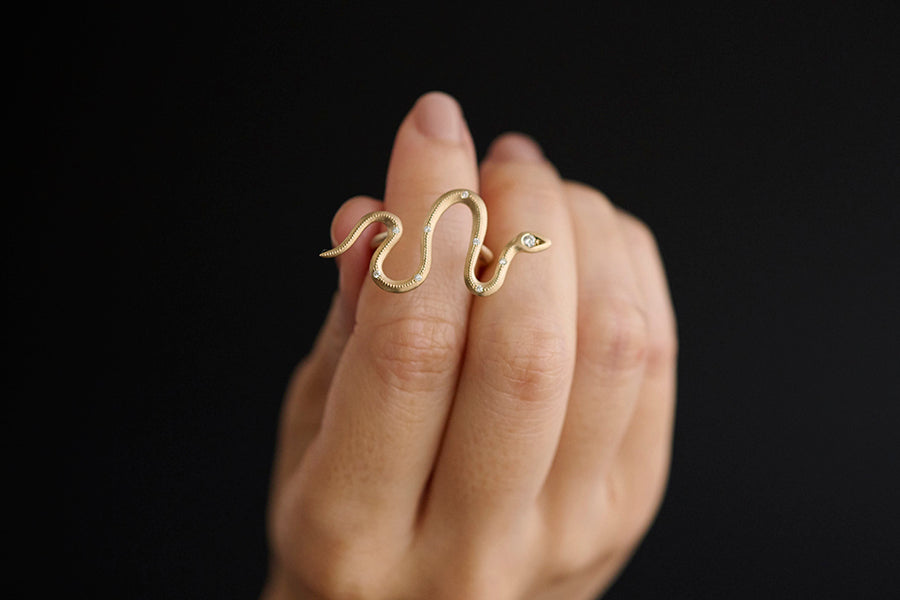 Eden / Snake Bar Ring